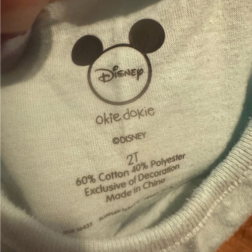Disney 2T top & 18 months shorts